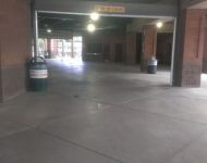 ScottsdaleFallLeague19